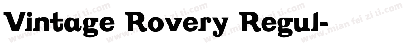 Vintage Rovery Regul字体转换